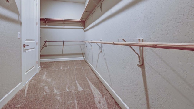 spacious closet with light colored carpet