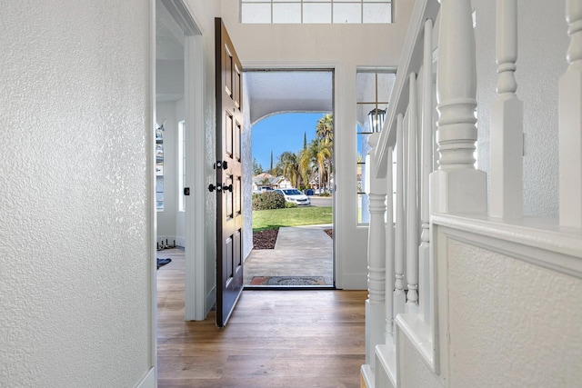 entrance foyer with dark hardwood / wood-style flooring