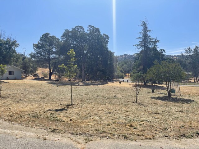 42959 Ranger Circle Ct, Coarsegold, CA 93614 - photo 35