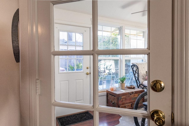 entryway with a healthy amount of sunlight