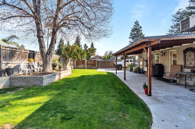 view of yard featuring a patio area and a fenced backyard