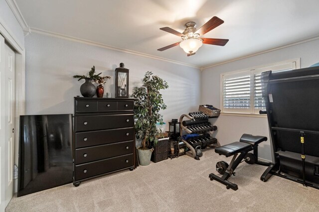 exercise room featuring crown molding, light colored carpet, and ceiling fan