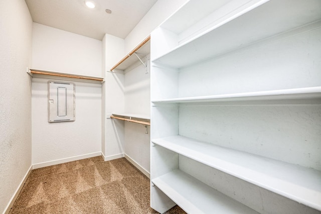 spacious closet featuring electric panel and carpet