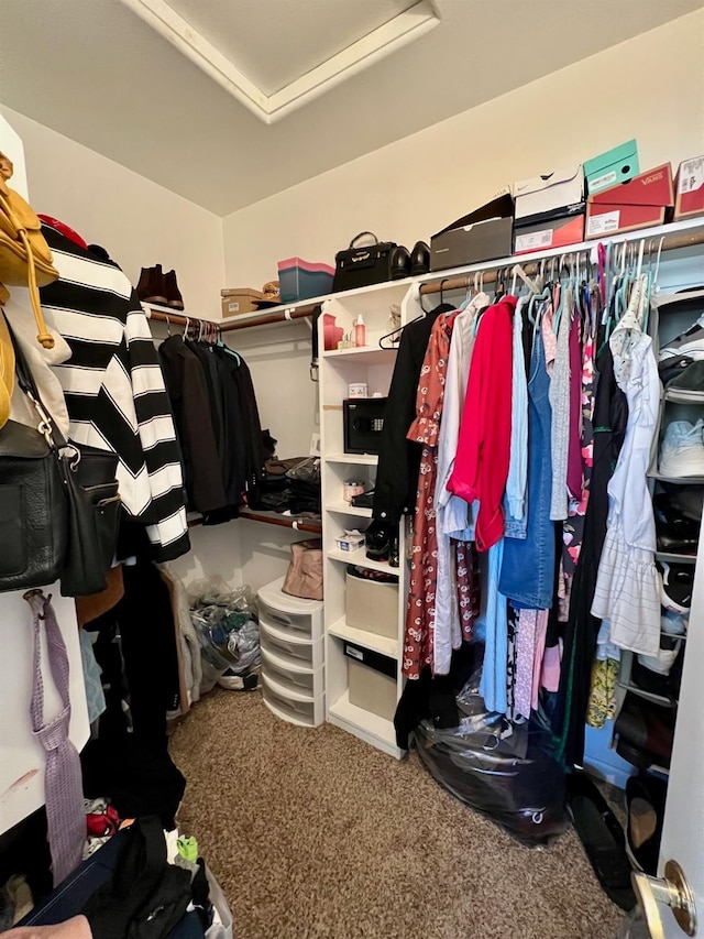 walk in closet featuring carpet flooring