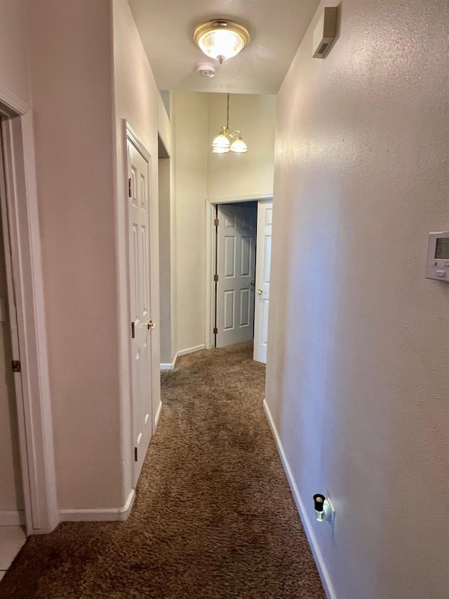 corridor featuring carpet floors