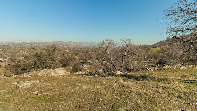 11185 Rusty Spur Ln, Clovis, CA 93619