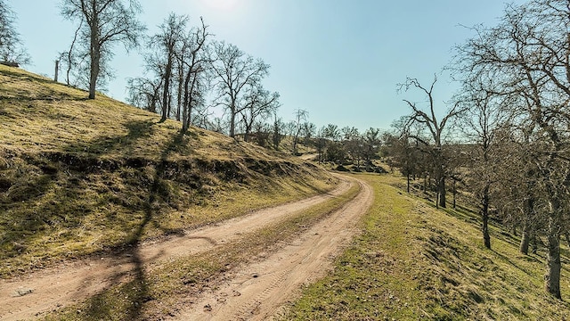 11185 Rusty Spur Ln, Clovis, CA 93619