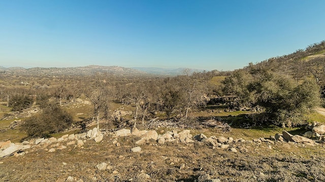 11185 Rusty Spur Ln, Clovis, CA 93619