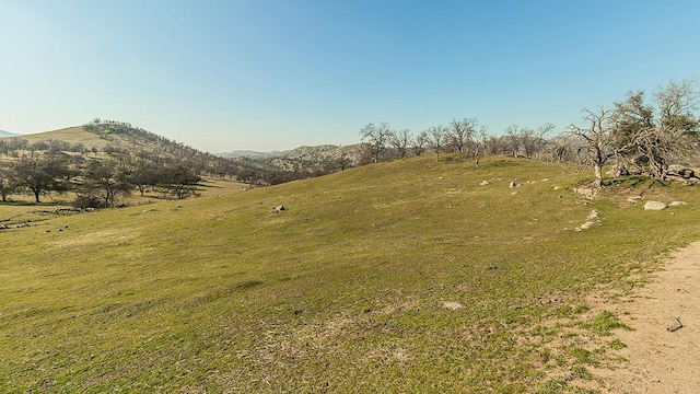 11185 Rusty Spur Ln, Clovis, CA 93619