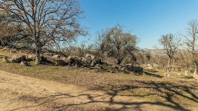 11185 Rusty Spur Ln, Clovis, CA 93619