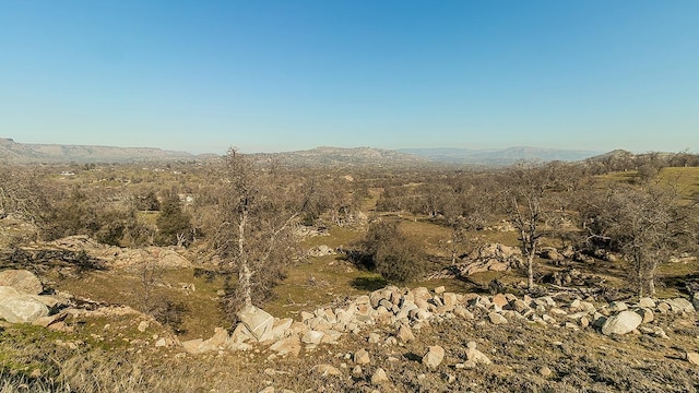 11185 Rusty Spur Ln, Clovis, CA 93619