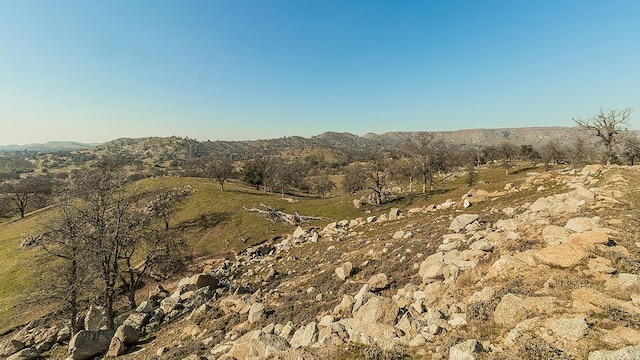 11185 Rusty Spur Ln, Clovis, CA 93619