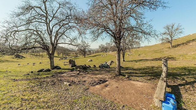 11185 Rusty Spur Ln, Clovis, CA 93619