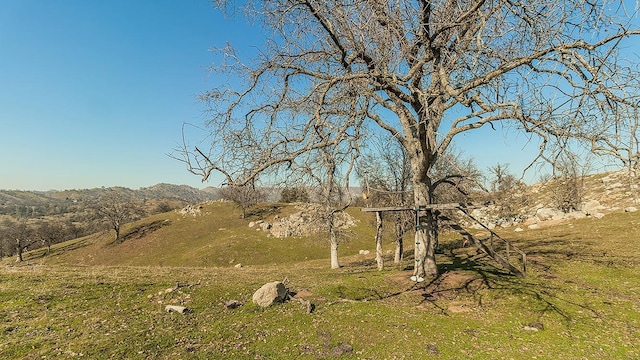 11185 Rusty Spur Ln, Clovis, CA 93619