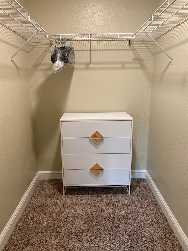 spacious closet featuring dark colored carpet