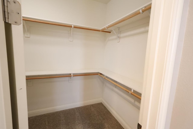 walk in closet with carpet floors