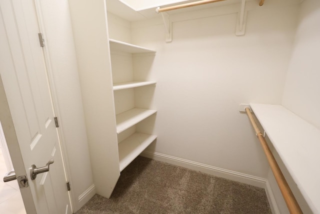 walk in closet with carpet flooring