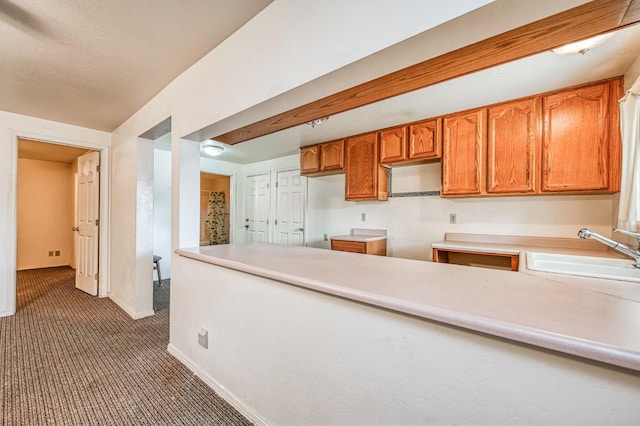 kitchen featuring sink and dark carpet