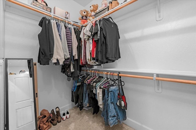 walk in closet featuring carpet