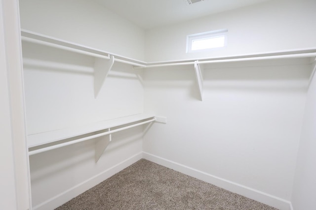 walk in closet with carpet