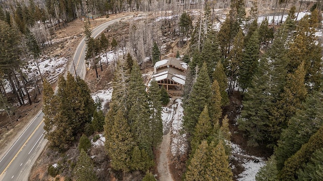 drone / aerial view