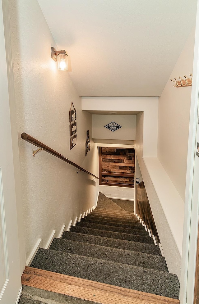 stairs featuring carpet flooring