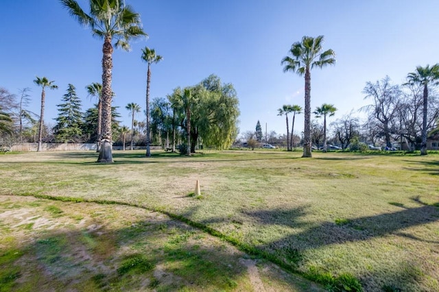 view of property's community featuring a yard