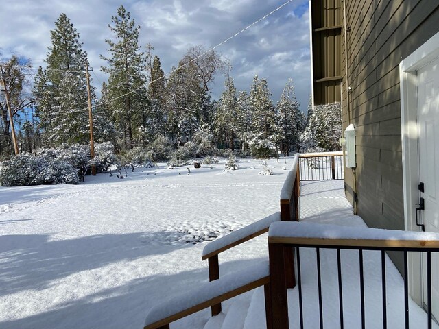 view of yard covered in snow