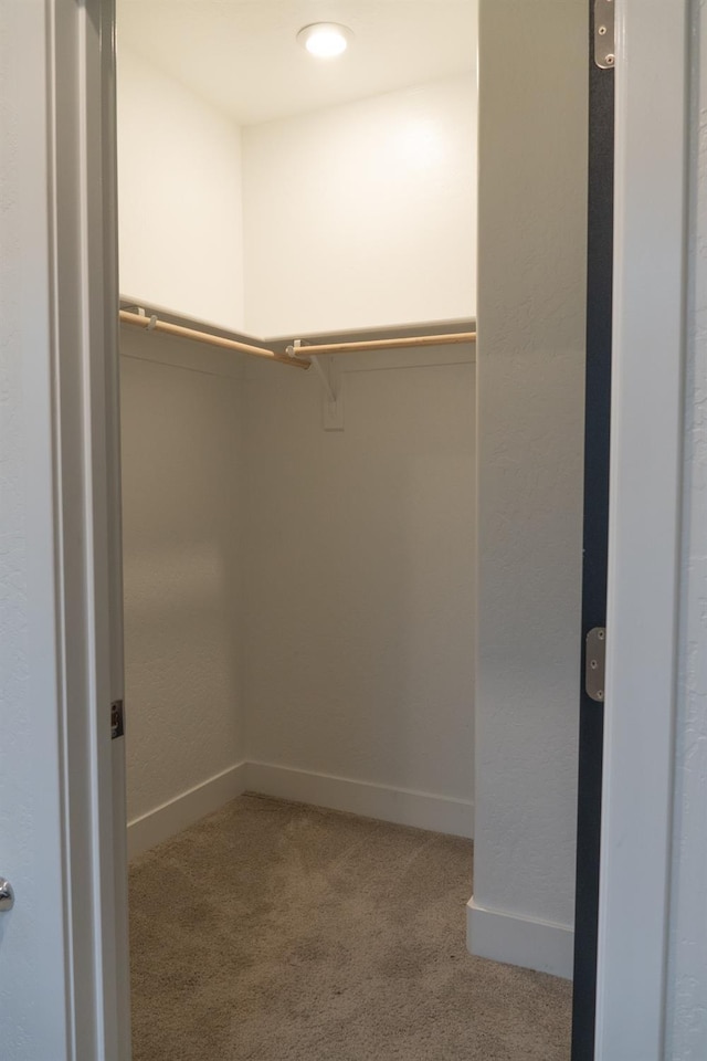 walk in closet featuring light carpet