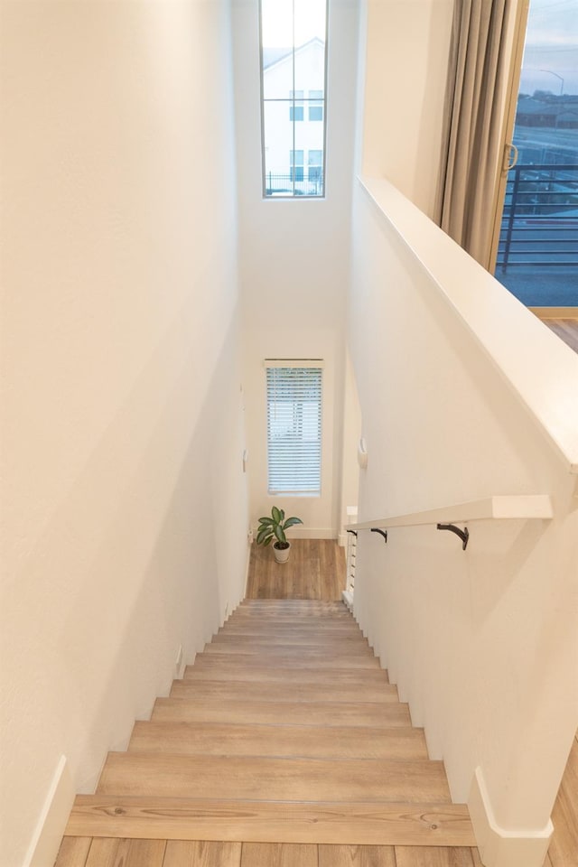 stairway with wood-type flooring, plenty of natural light, and a towering ceiling