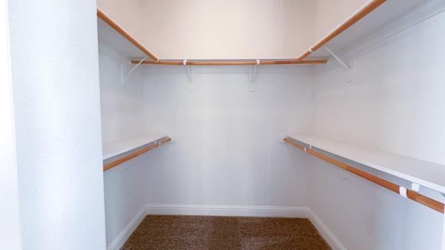 walk in closet featuring carpet