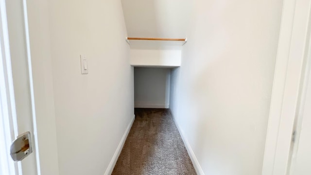 interior space with carpet flooring