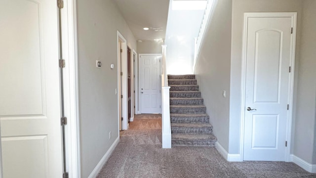 staircase featuring carpet flooring