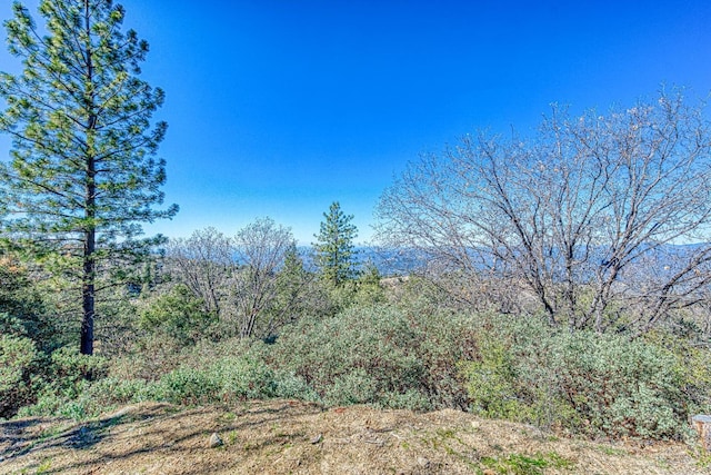 Listing photo 3 for 41000 Auberry Rd, Auberry CA 93602