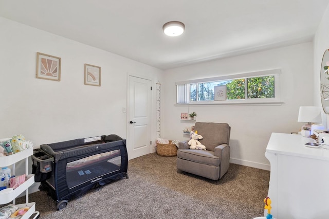 sitting room featuring carpet flooring