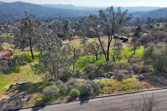 Listing photo 3 for 0 Lilley Mountain Dr, Coarsegold CA 93614