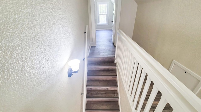 stairs with wood-type flooring