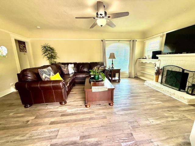 living room featuring ceiling fan and wood-type flooring