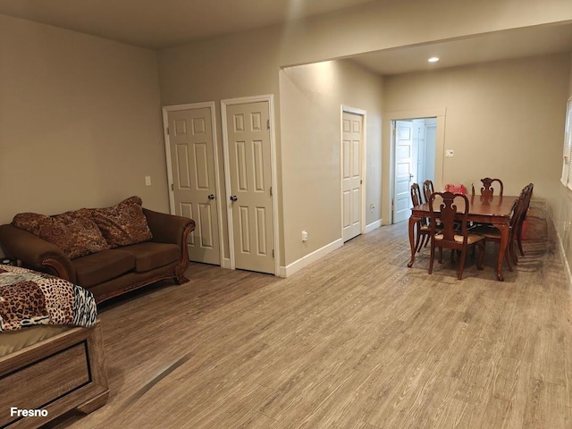 living room featuring light hardwood / wood-style flooring