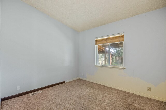 spare room featuring carpet floors, a textured ceiling, and vaulted ceiling