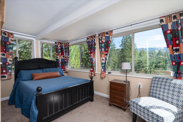 bedroom featuring carpet floors