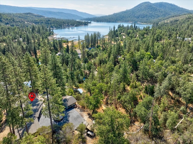 bird's eye view featuring a water and mountain view