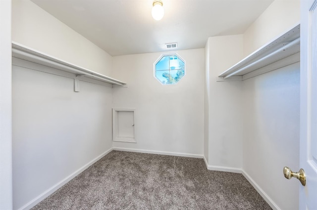 walk in closet featuring carpet floors