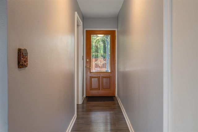 doorway to outside featuring dark wood-type flooring