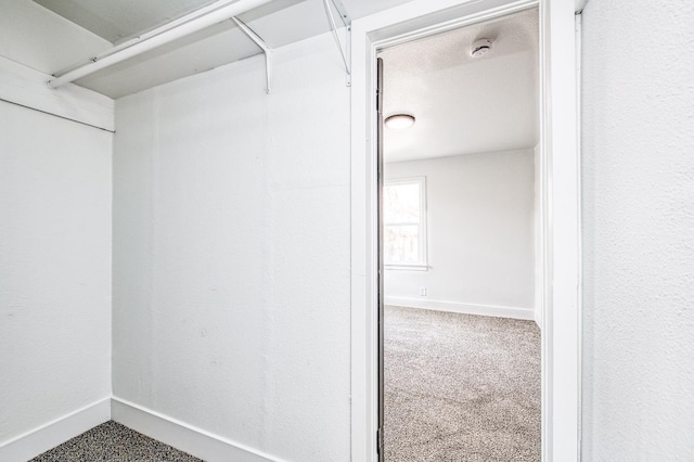 spacious closet featuring carpet floors