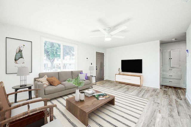 living room with ceiling fan and light wood-type flooring