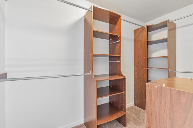 spacious closet featuring carpet floors