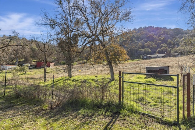 view of yard featuring a rural view