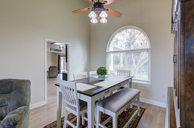 dining room with a towering ceiling, light hardwood / wood-style floors, and a wealth of natural light