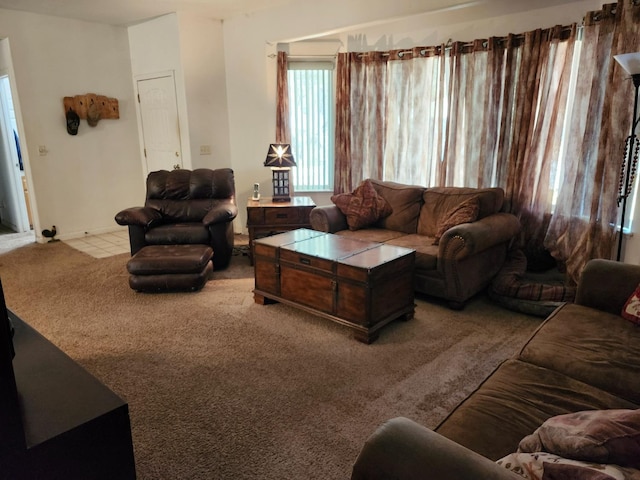 living room featuring carpet floors